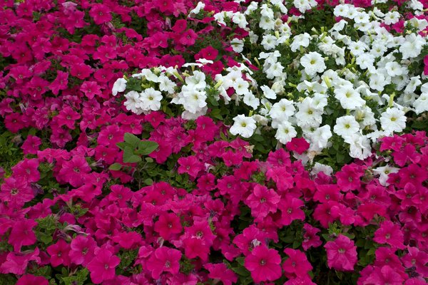 Aménager un Espace Douillet pour l'Automne : Astuces Indispensables pour une Ambiance Cocooning à Domicile