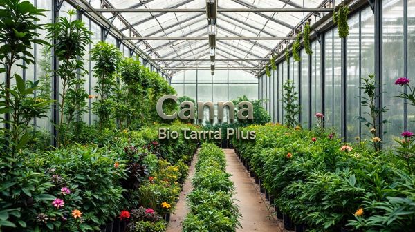 Découvrez comment Canna Bio Terra Plus transforme la culture bio